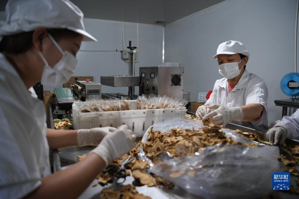 九线拉王游戏技巧